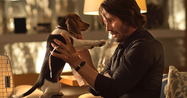หนังแอคชั่น John wick มือสังหารระดับพระกาฬ ทั้ง 4 ภาค