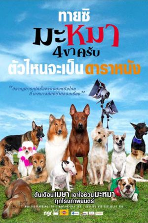 มะหมา 4 ขาครับ (2007) Ma-Mha See Kha Krab