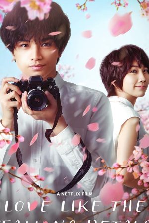 Love Like the Falling Petals (My Dearest, Like a Cherry Blossom) (2022) ใบไม้ผลิที่ไม่มีเธอเป็นซากุระ